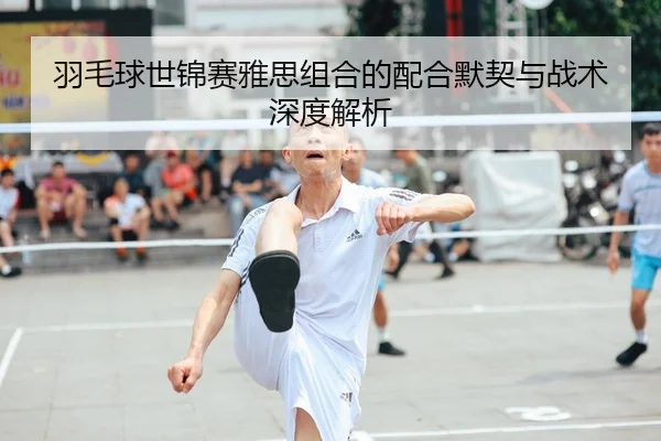 羽毛球世锦赛雅思组合的配合默契与战术深度解析